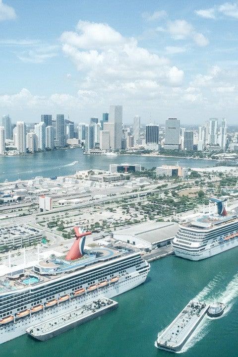 Pet Friendly Explore Miami by Helicopter