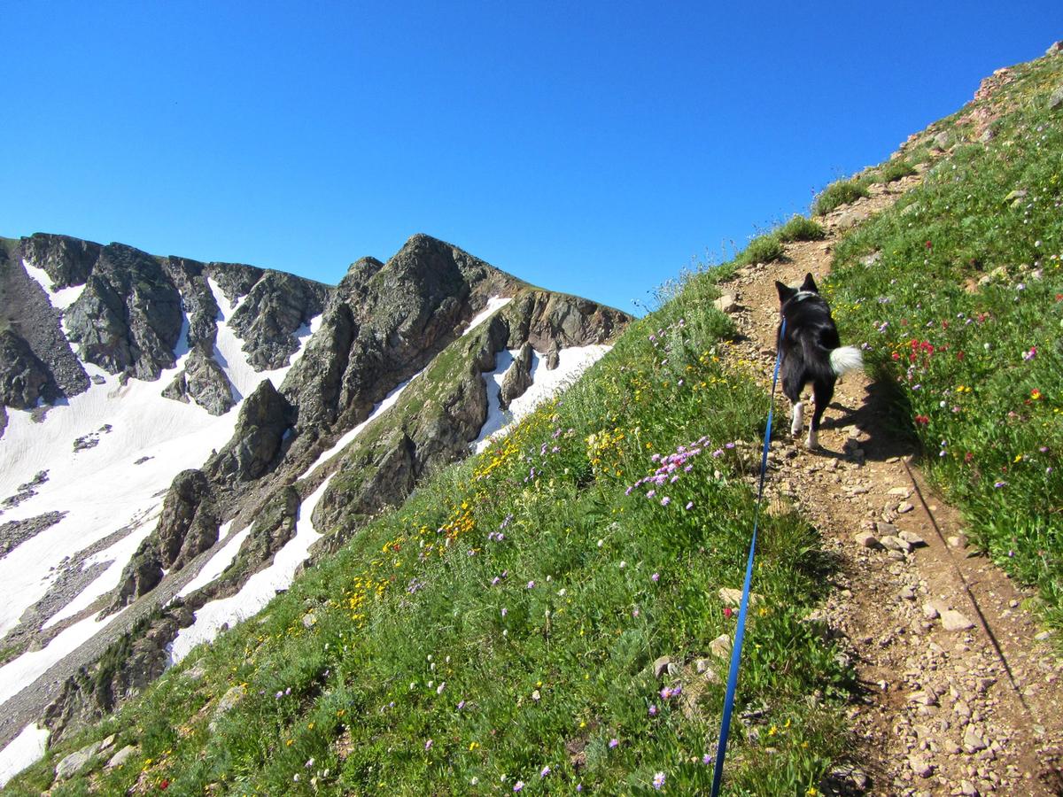 King Lake And Devils Thumb Loop Trail