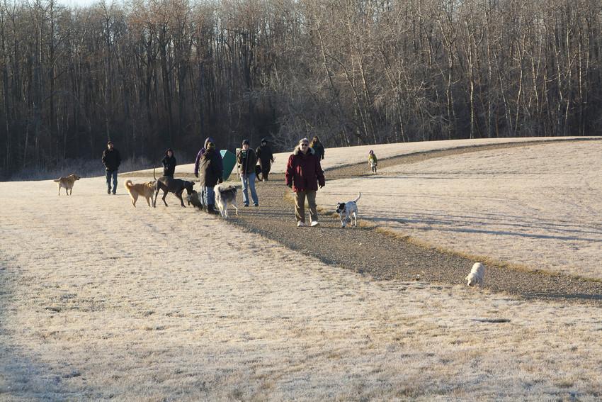 OffLeash Dog Parks in Stony Plain, AB BringFido