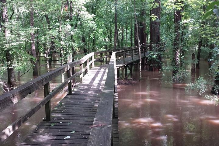 Pet Friendly Pinson Mounds State Archaeological Park