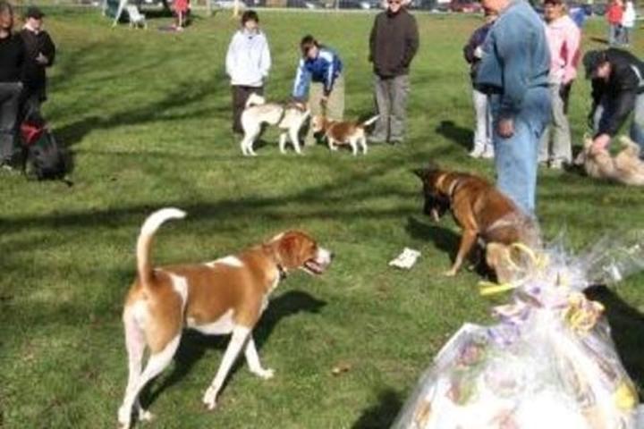 Pet Friendly Stoney Creek Off-Leash Dog Park