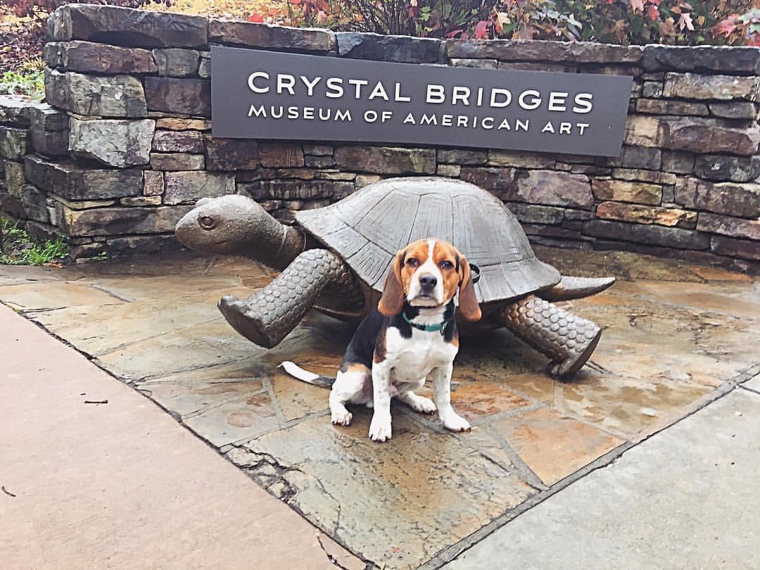 Pet Friendly Crystal Bridges Trails and Grounds