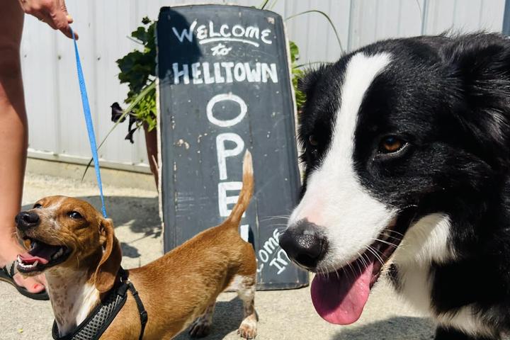 Pet Friendly Helltown Brewing - Mt Pleasant Taproom