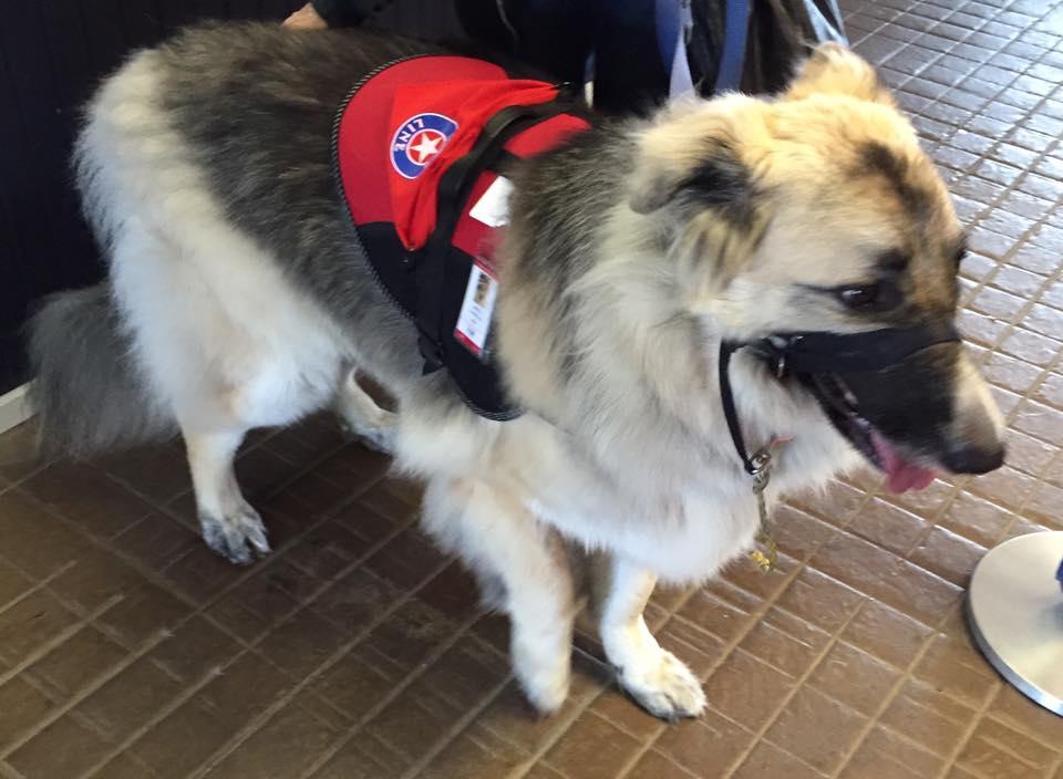 Starline Mackinac Island Ferry Company starline-mackinac-island-ferry-company