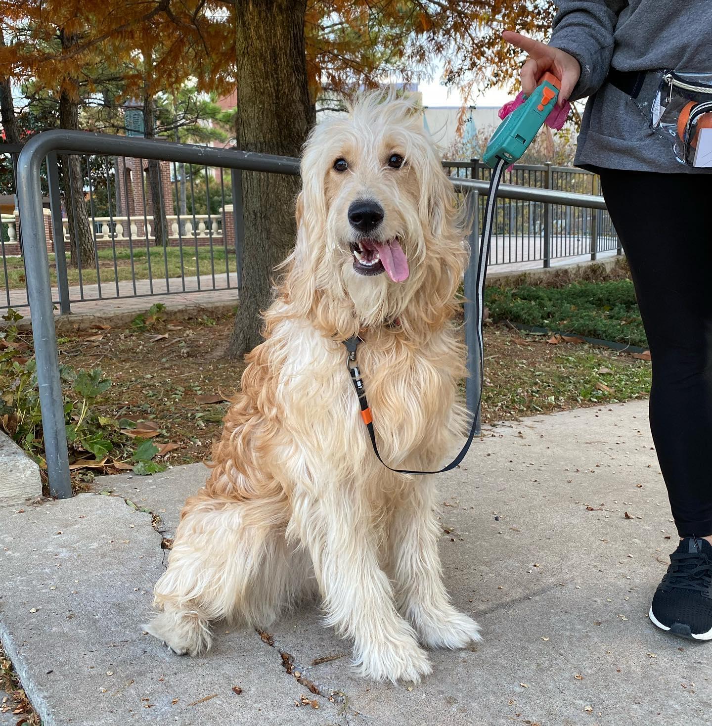 Bricktown River Walk Park