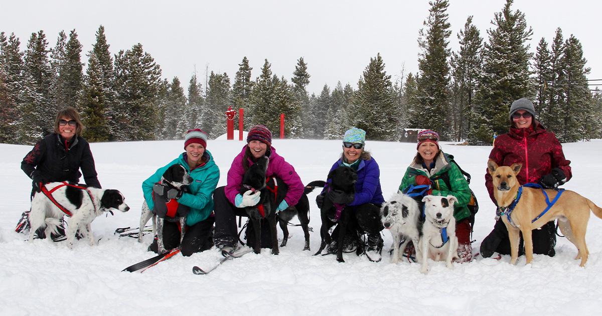 Pet Friendly Skijoring at Frisco Nordic Center