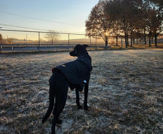 Pet Friendly Salisbury Township Community Park