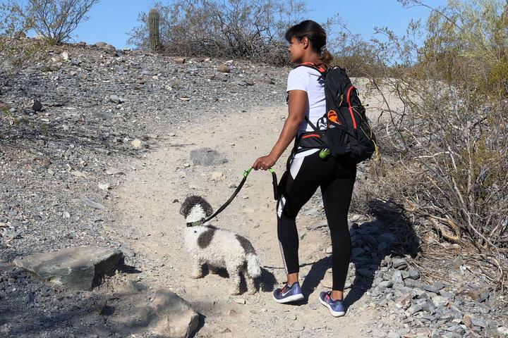 Pet Friendly Arizona National Scenic Trail