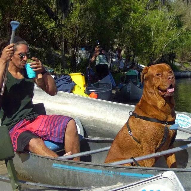 Pet Friendly Canoe Outpost - Peace River