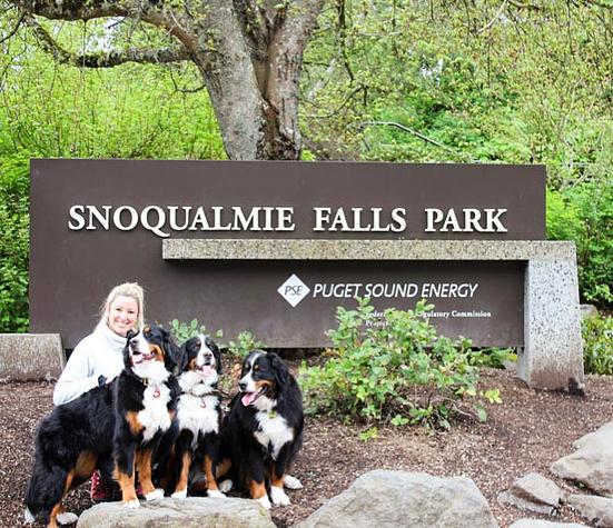 Snoqualmie Valley Pets: Six Boredom Busters for your Dog - Living Snoqualmie