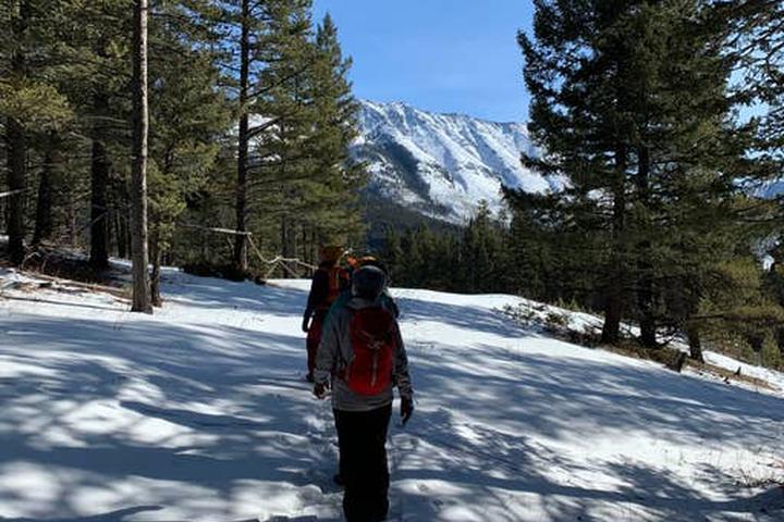Pet Friendly Snowshoe and Picnic in the Rockies