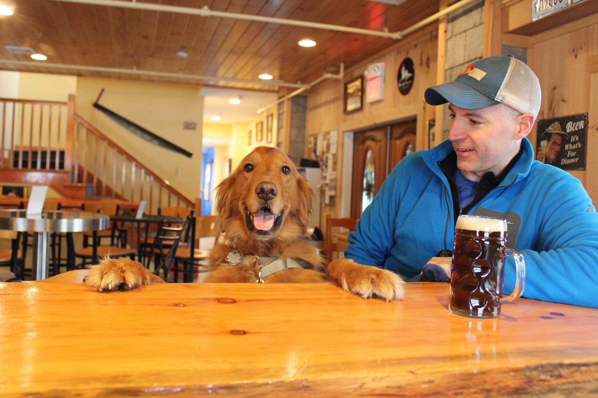 Pet Friendly Fort Hill Brewery