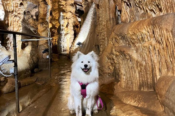 Pet Friendly Les Grottes de Presque