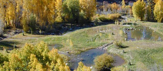 Picture of Aspen/Snowmass Nordic Trail System, a dog friendly attraction in Aspen. Picture of Aspen/Snowmass Nordic Trail System, a dog friendly attraction in Aspen.