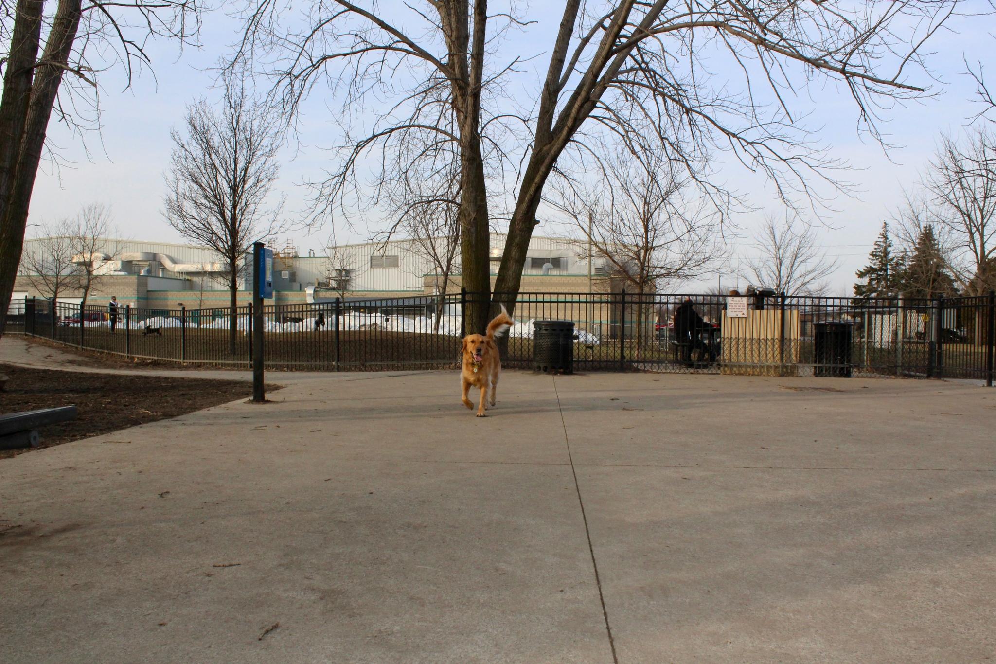 are dogs allowed at parks in sterling heights michigan