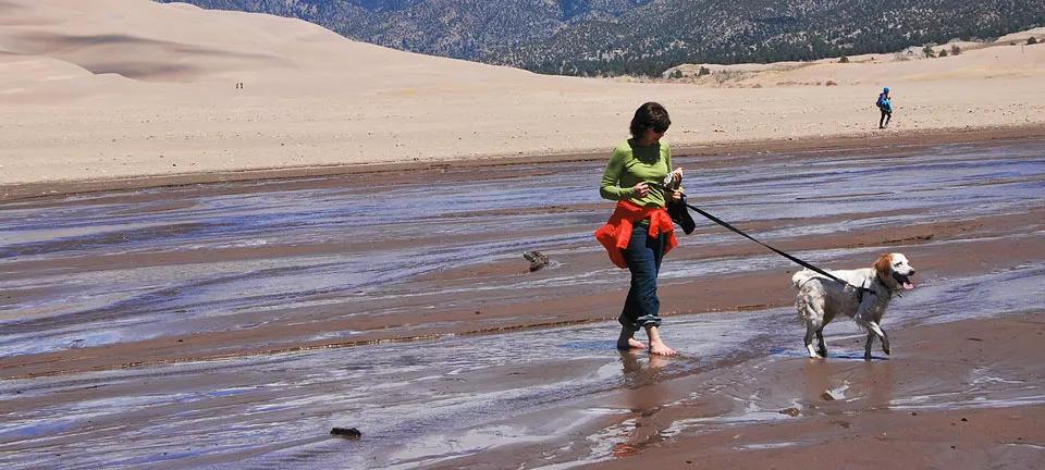 Pet Friendly Great Sand Dunes National Park and Preserve
