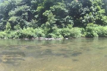Things To Do In Sparta Nc Blue Ridge Heritage Trail