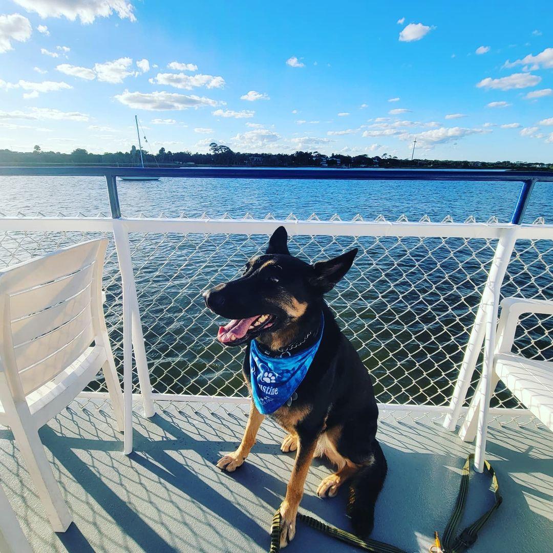Pet Friendly Scenic Cruise of St. Augustine