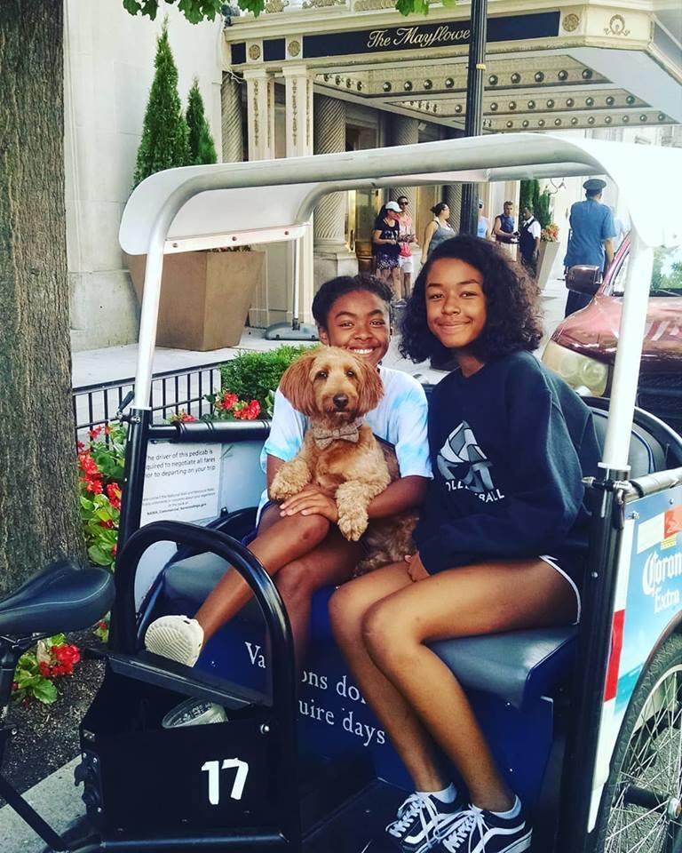 Dog Friendly Activities in Washington, DC BringFido