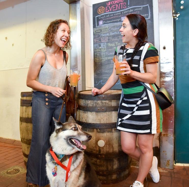 Tour NYC's Dog Friendly Breweries