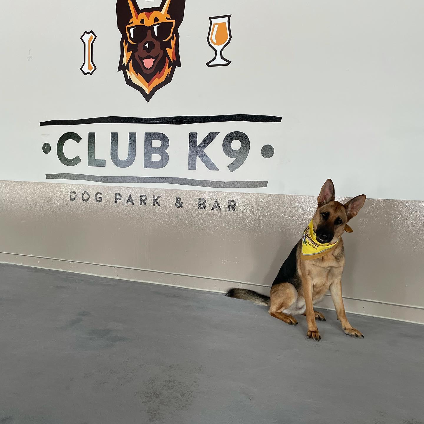 Pet Friendly Club K9 Dog Bar
