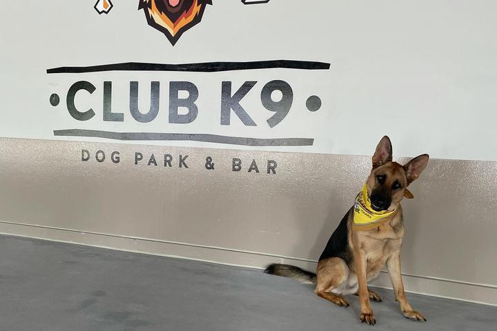 Pet Friendly Club K9 Dog Bar
