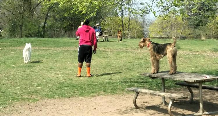 Battle Creek Regional Dog Park