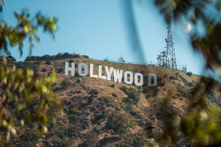 Pet Friendly The Only Hollywood Sign Pro Photo Shoot
