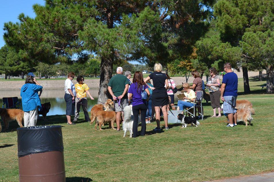 vista del camino dog park