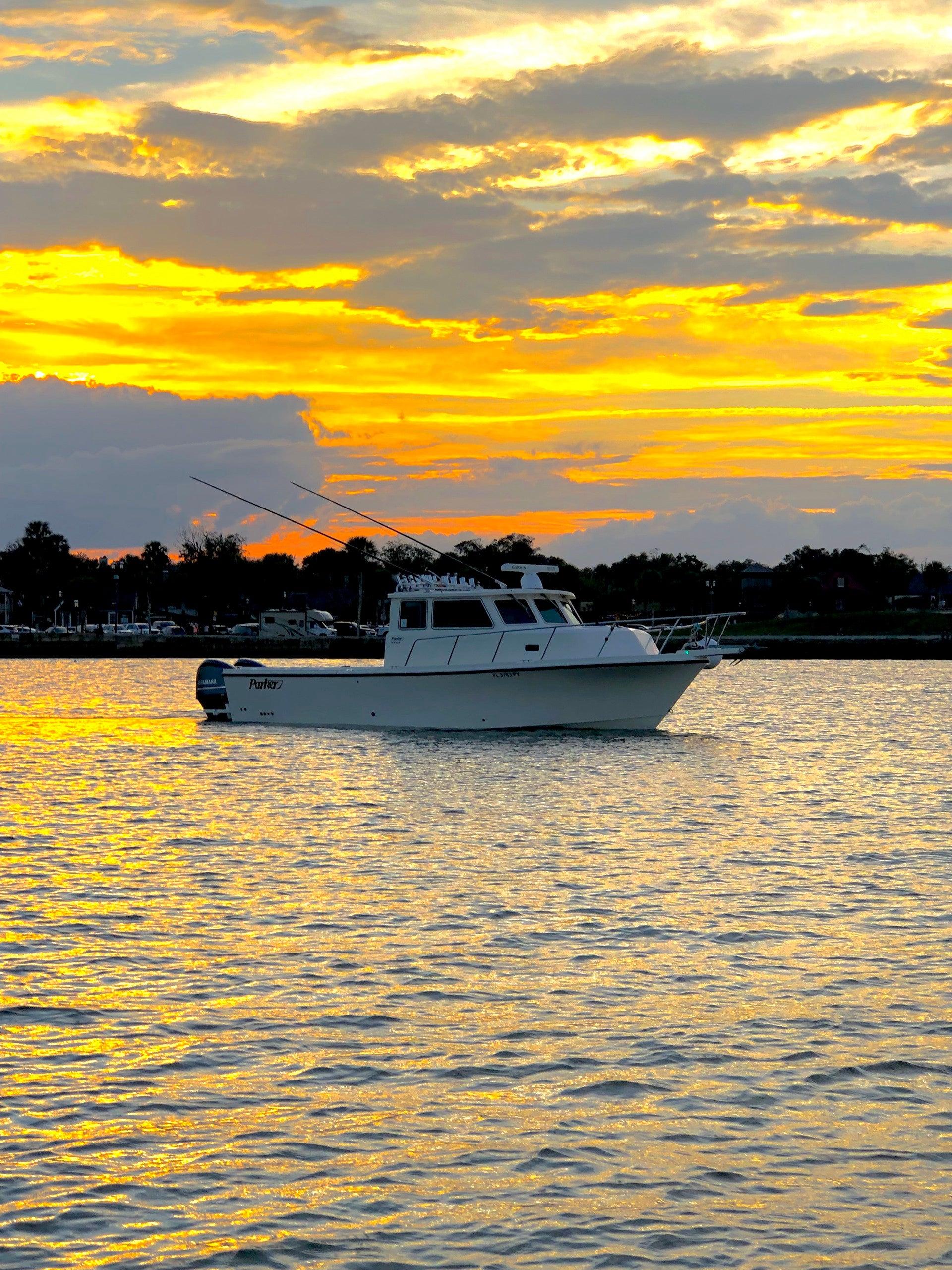 Pet Friendly Sunset & Night of Lights Boat Ride