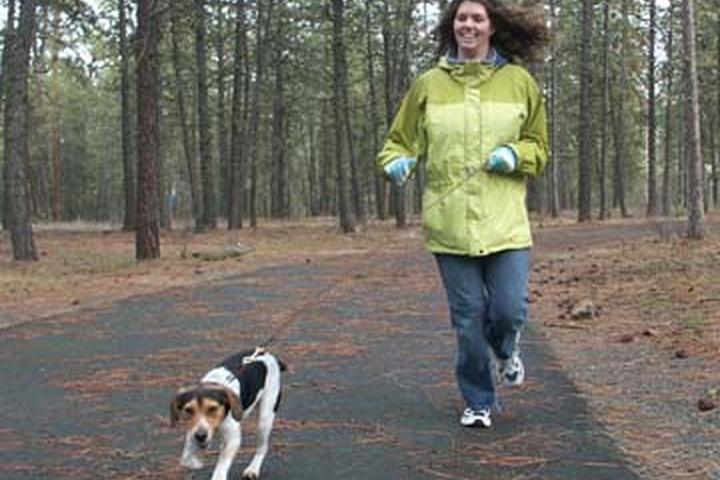 Pet Friendly Orchard Heights Park Off Leash Area