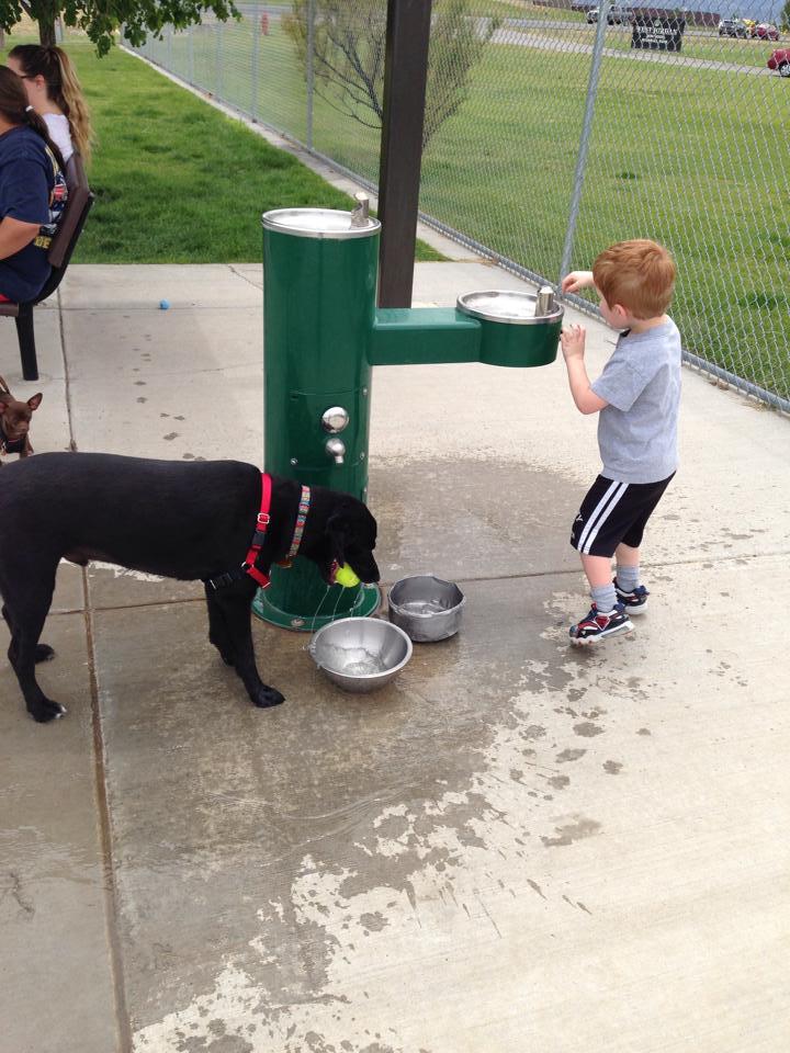 West Jordan Dog Park