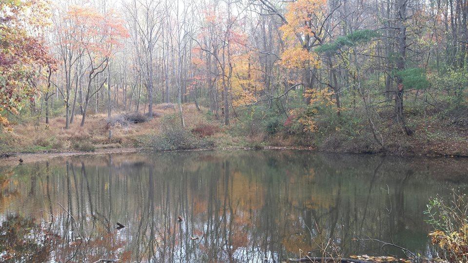 Dog Friendly Hiking Trails in Greensburg, PA - BringFido