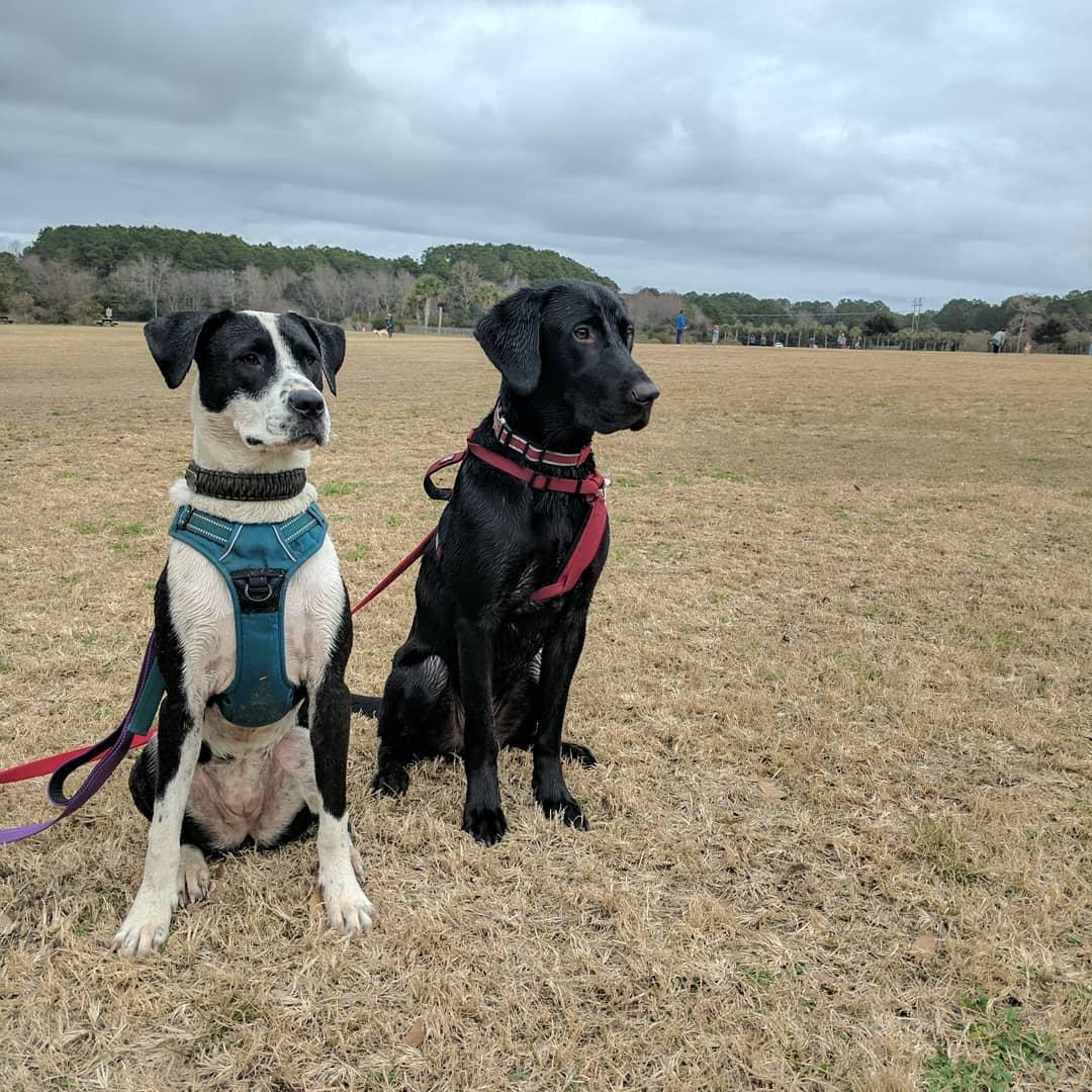 James Island County Park