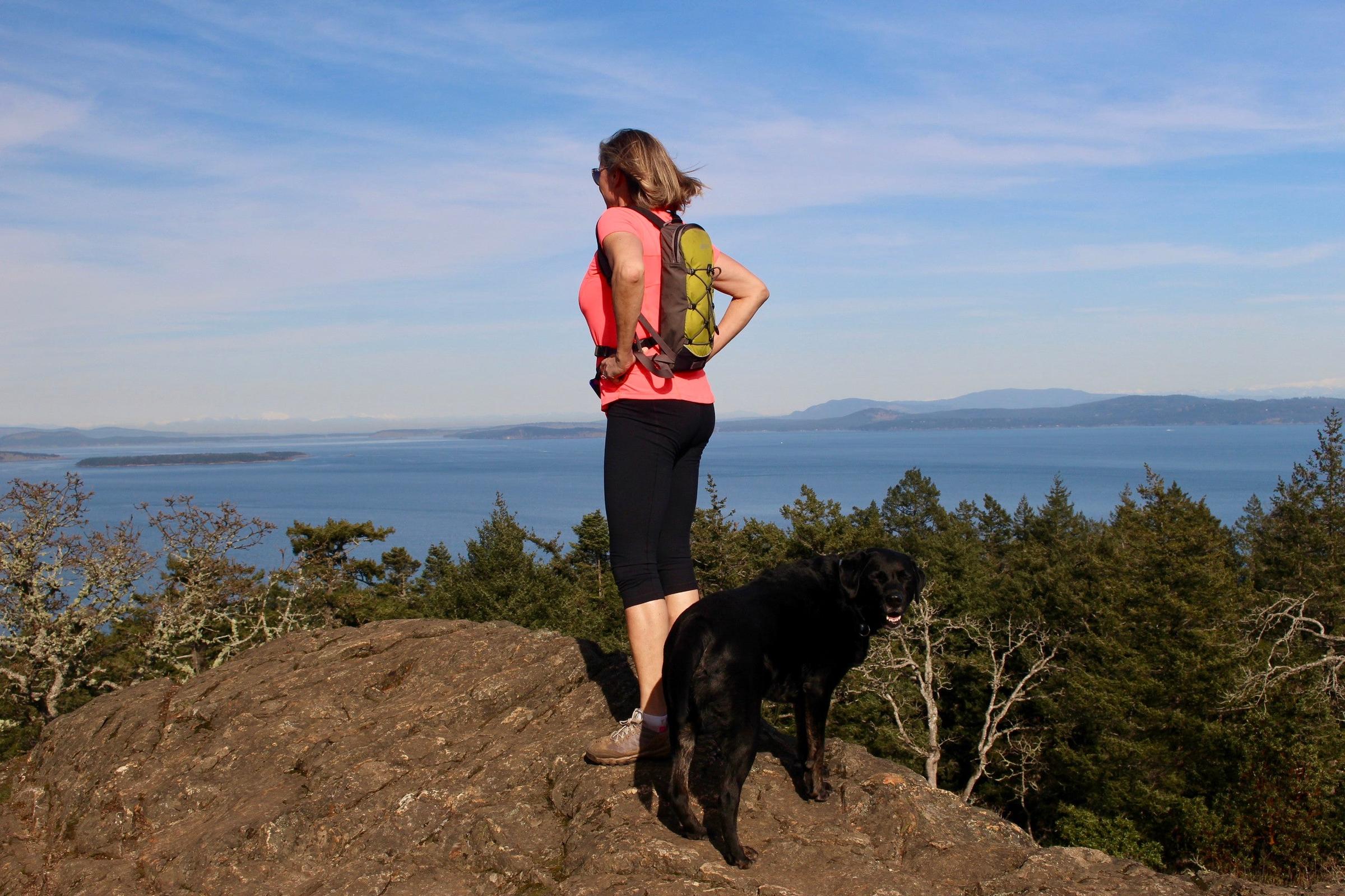 Pet Friendly Hike in Victoria's Forest and Mountains