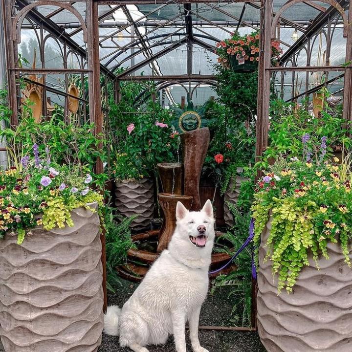 Gardens of Babylon Landscapes