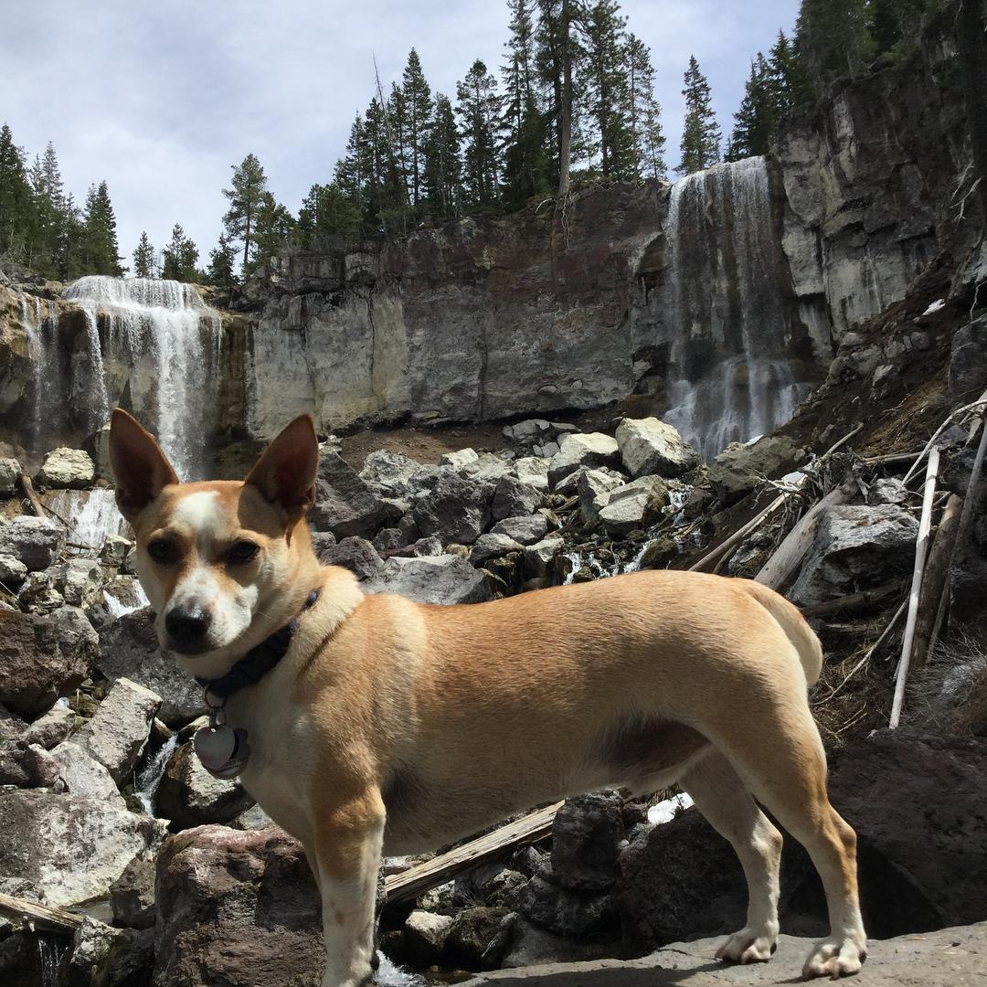 Paulina Falls Day Use Area