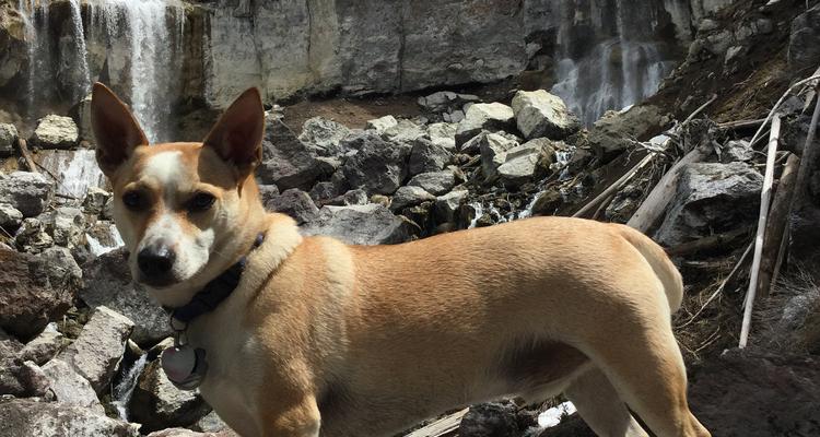 Paulina Falls Day Use Area
