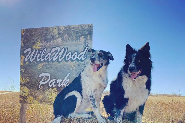 Pet Friendly Wildwood Park
