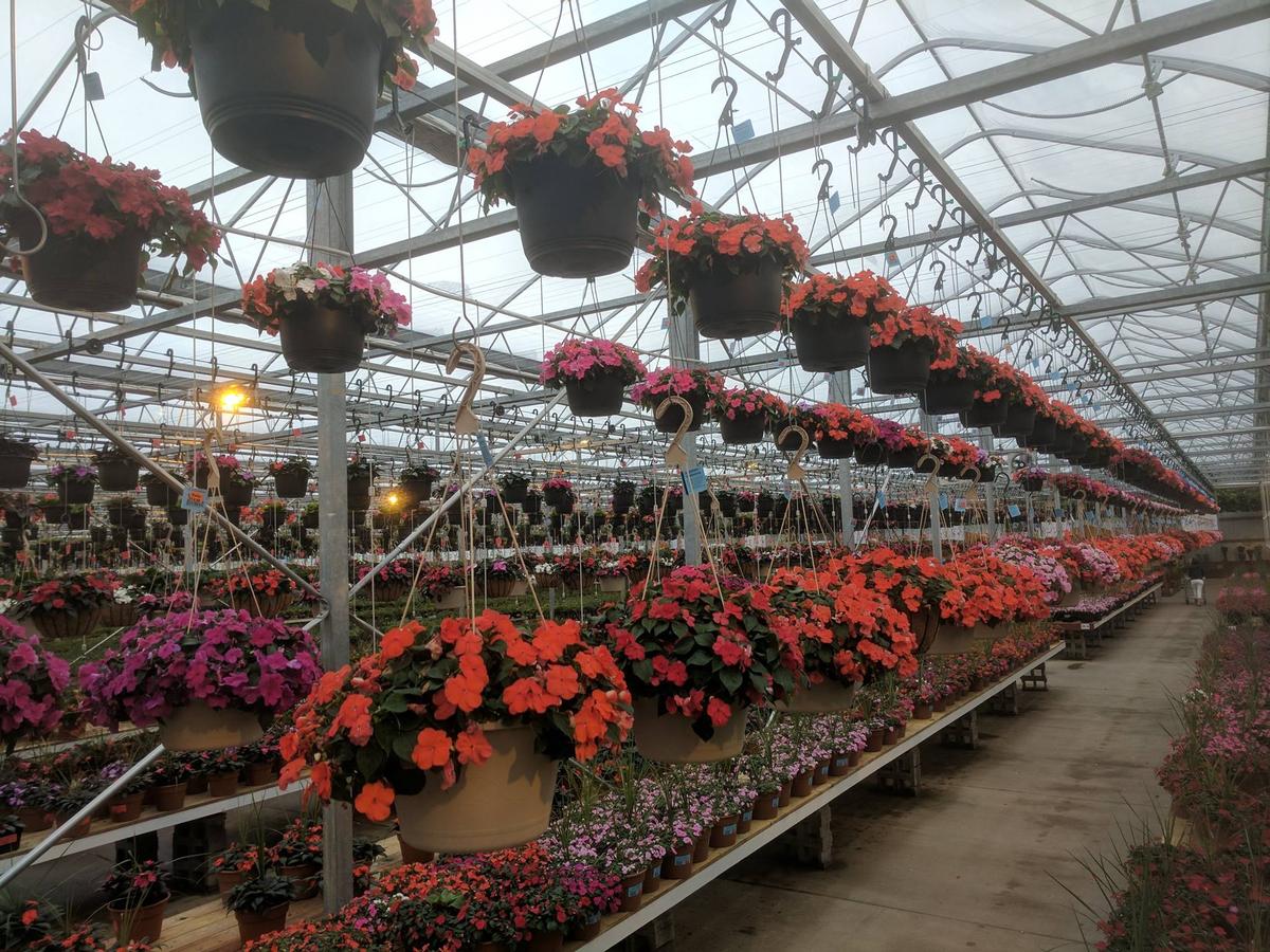 Countryside Greenhouse