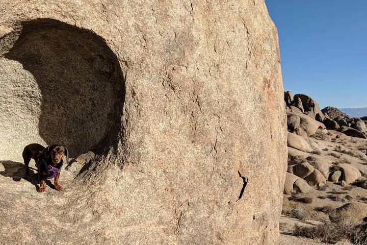 Pet Friendly Alabama Hills