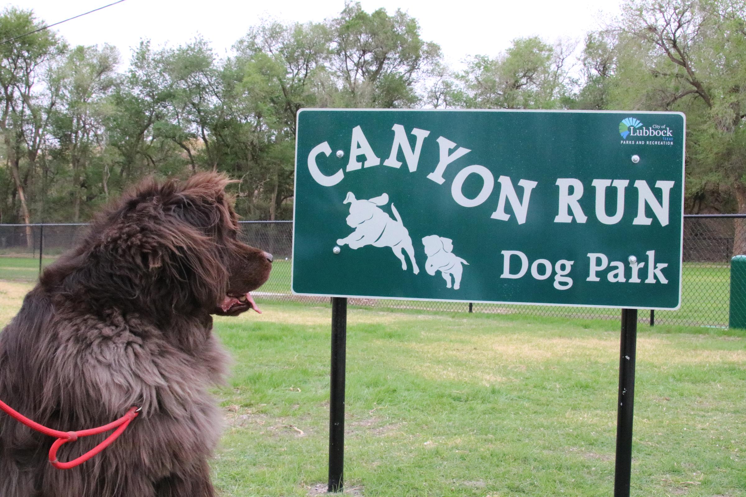 Pet Friendly Canyon Run Dog Park