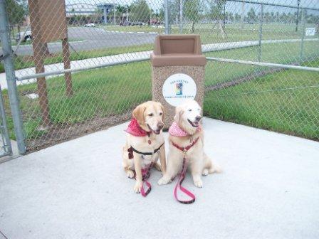 Dog corrals clearance