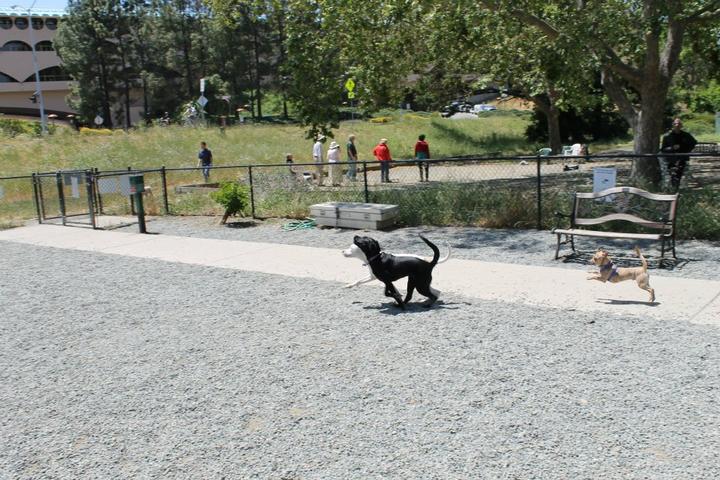 Pet Friendly Civic Center Dog Park