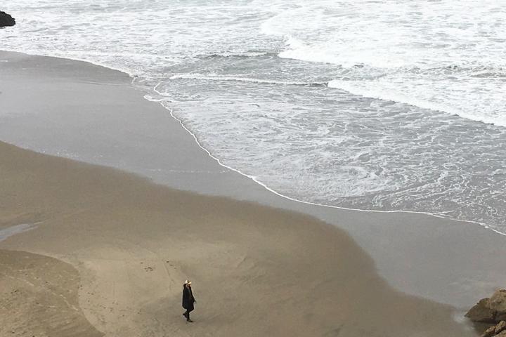 Pet Friendly Lands End: San Francisco's Wild Coast