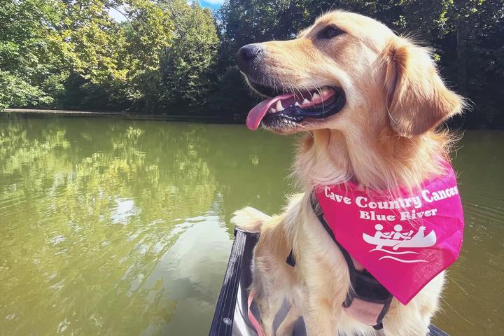 Pet Friendly Cave Country Canoes