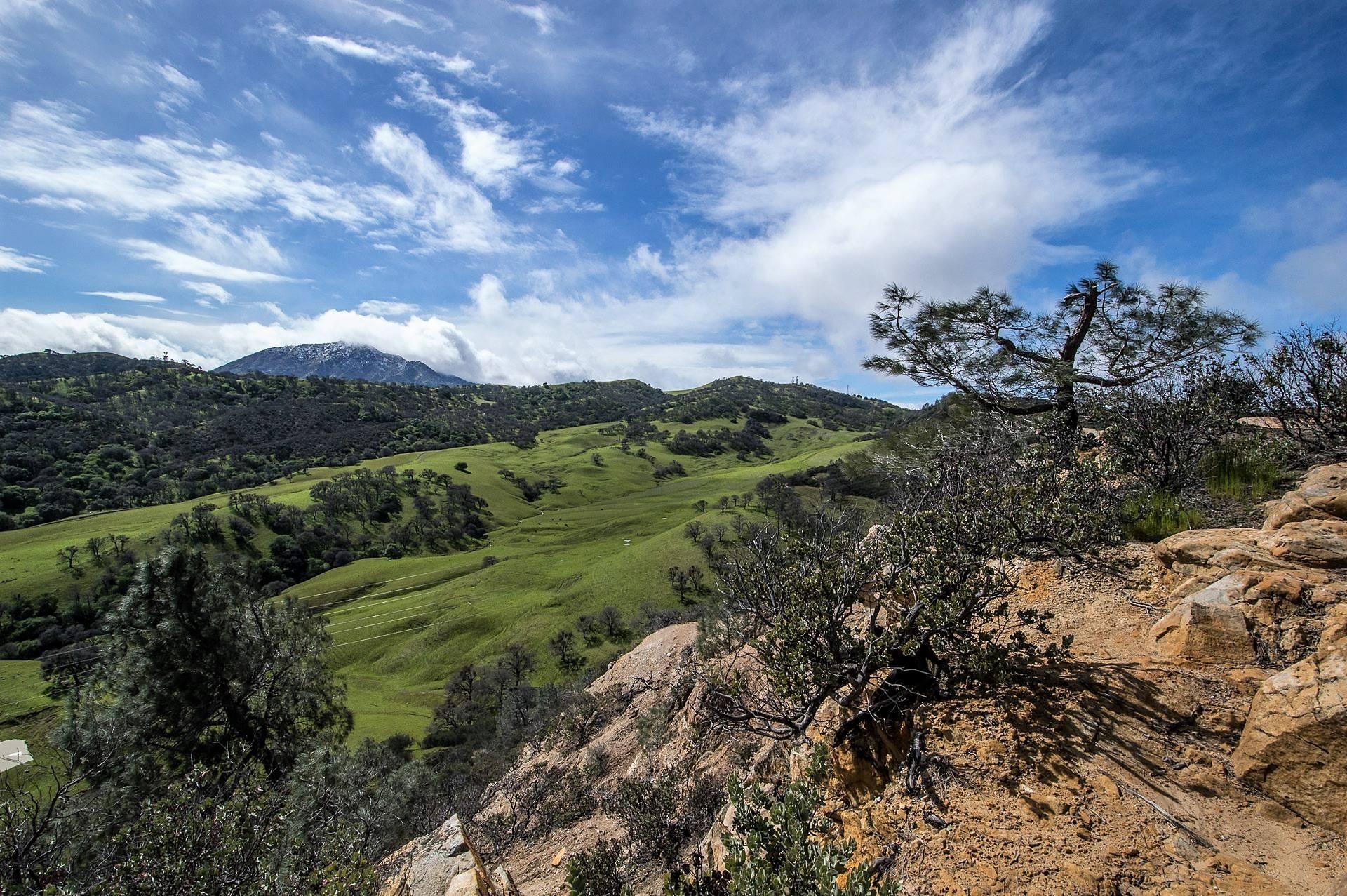 Are Dogs Allowed At Rock City Mt Diablo
