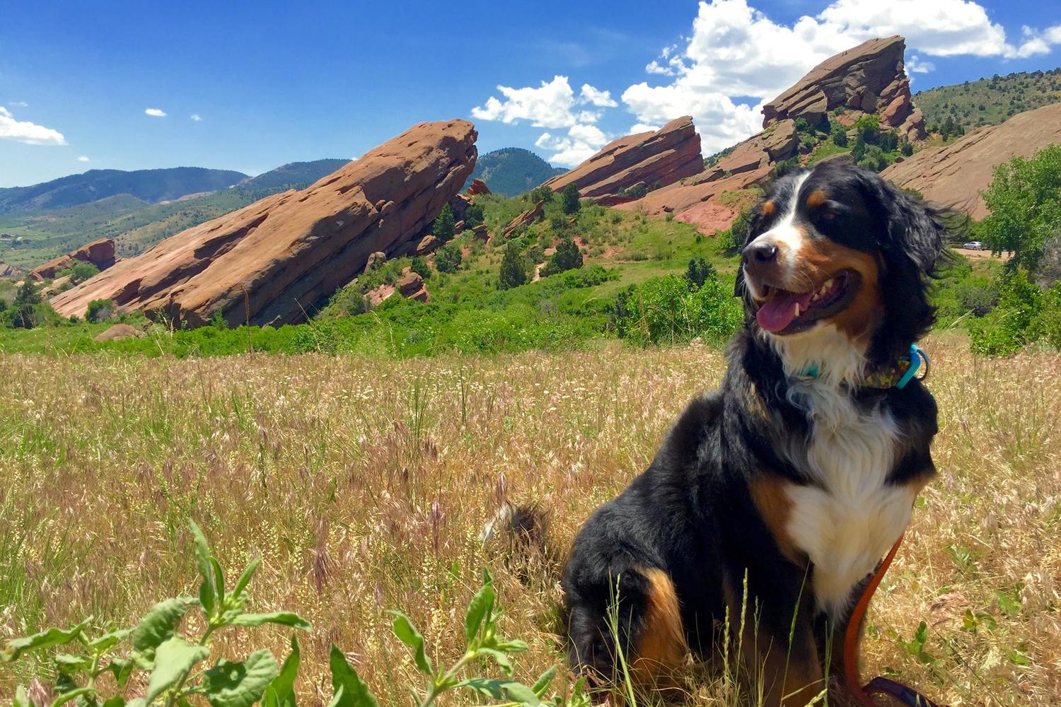 Red Rocks Amphitheatre Park Red Rocks Amphitheatre Park