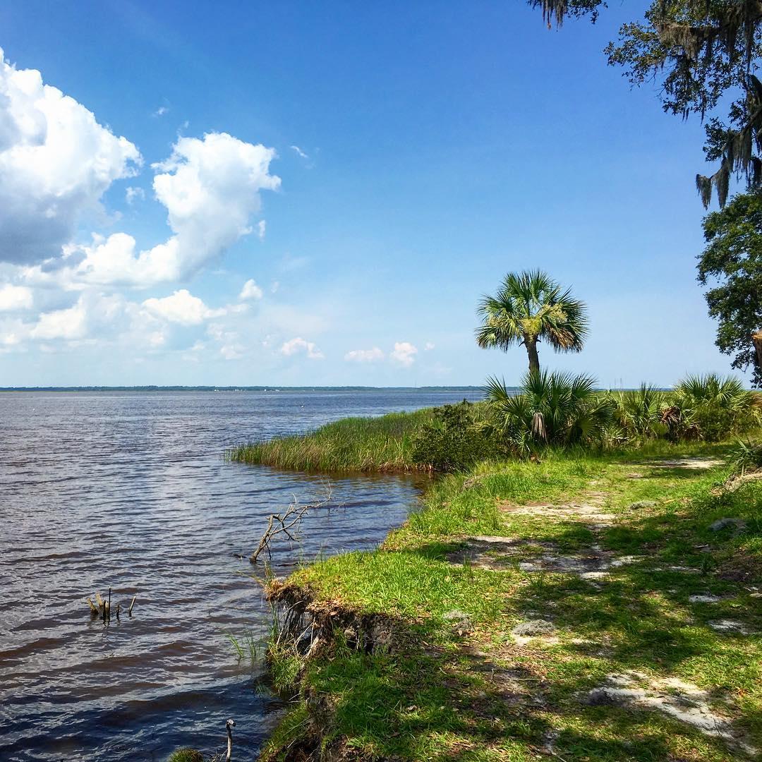 Fort McAllister State Park