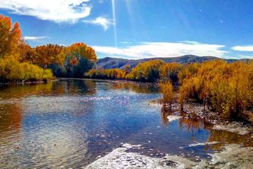 Carson River Park